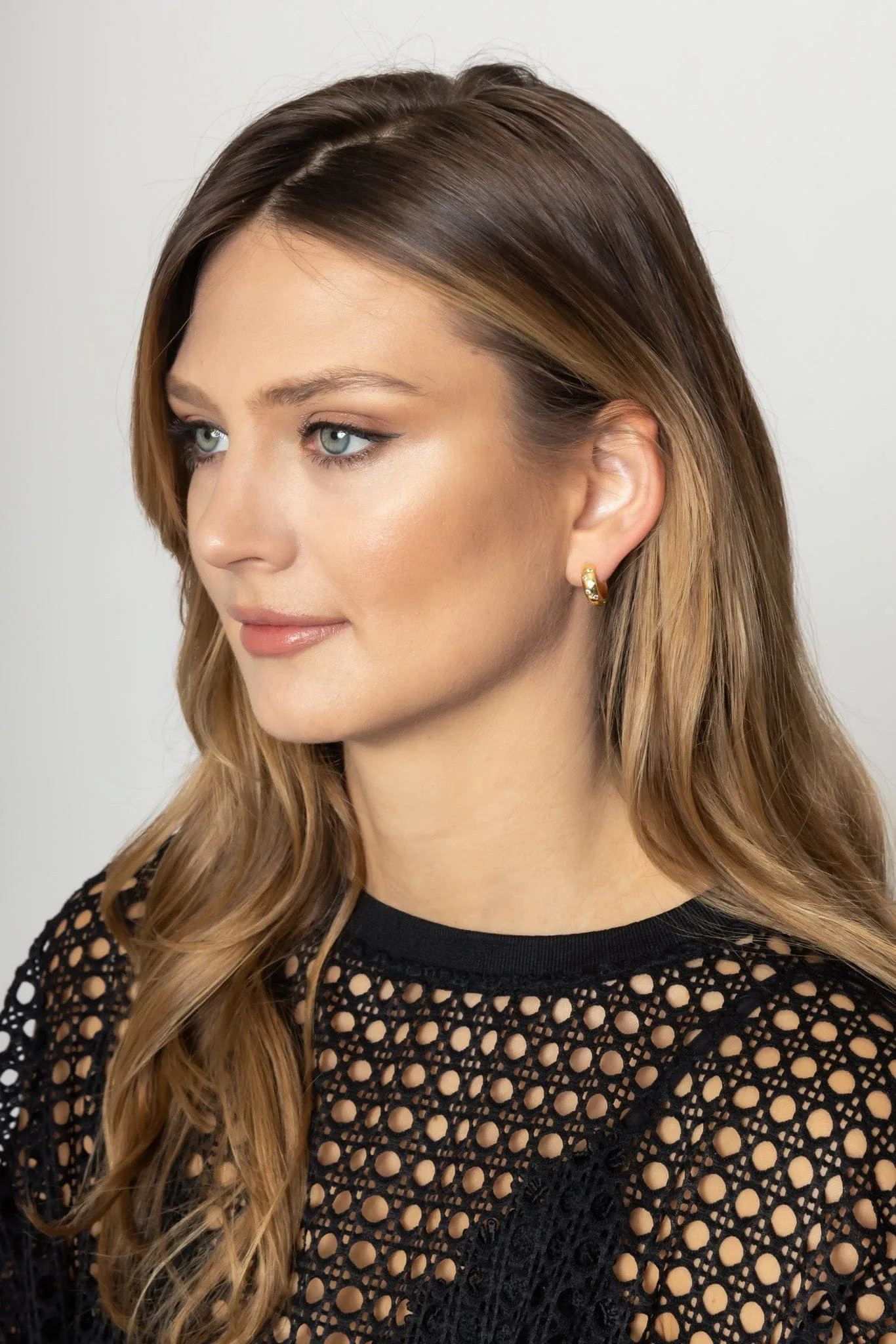 SJE310209 14K CZ Paved Hoop Earrings